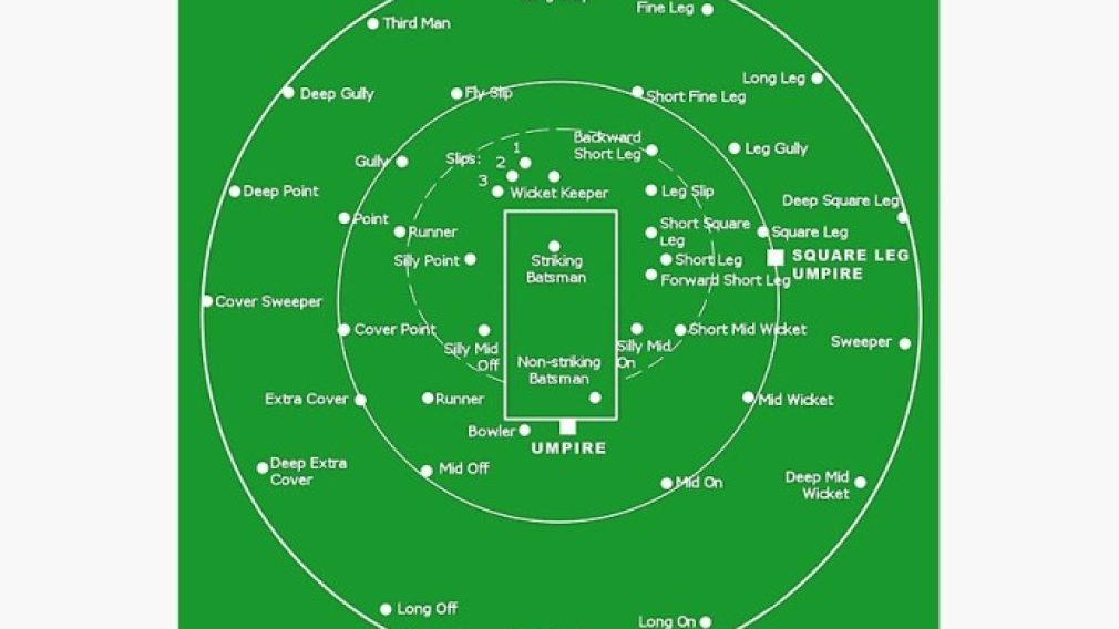 Cricket Fielding Positions